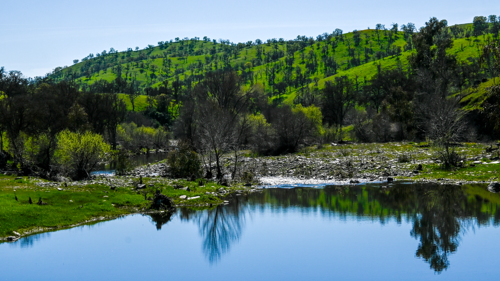 Bear Creek
